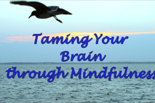 Taming Your Brain through Mindfulness It a No-Brainer Video.