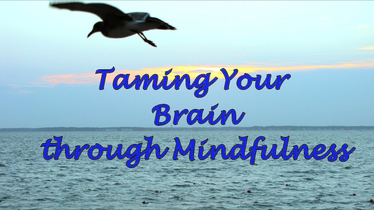 Taming Your Brain through Mindfulness It a No-Brainer Video.