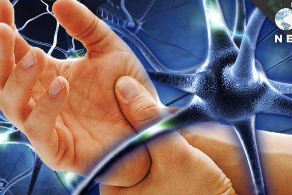 Pros and Cons Of Why We Can Not Reverse Nerve Damage