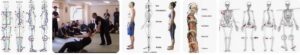 Retiree Posture Alignment Training Fixes Rounded Shoulders