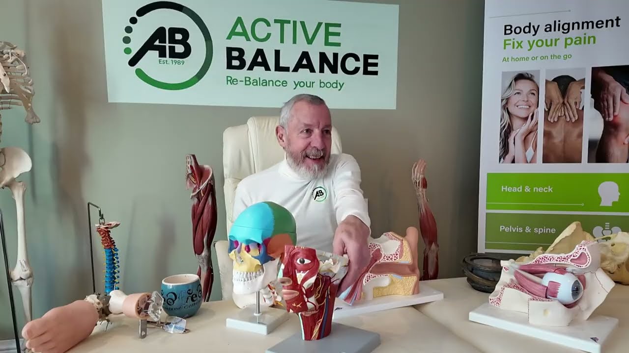 Pain-Free Everyday Movement Grows Daily Practice After Sixty