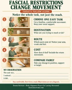 Daily Maintenance Restores Freedom: How To Notice Hidden Change